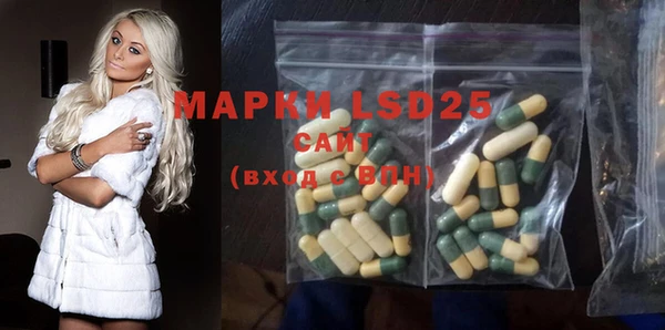 амф Вяземский