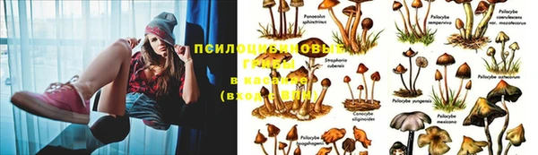 кокаин Вязники