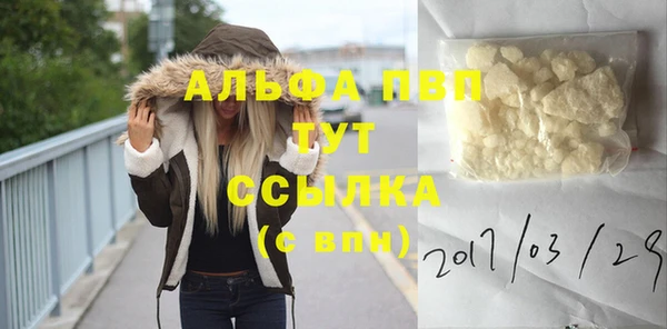 амф Вяземский