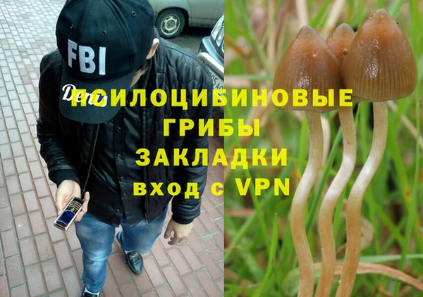 прущий лед Горнозаводск