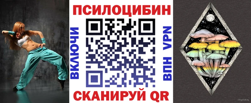 закладки  Заводоуковск  Псилоцибиновые грибы прущие грибы 